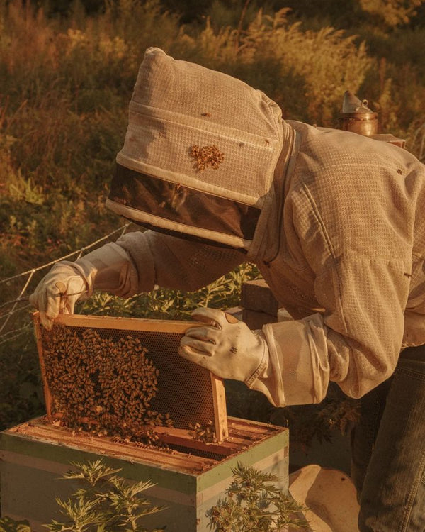 Raw Honey