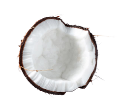 Coconut