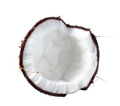 Coconut