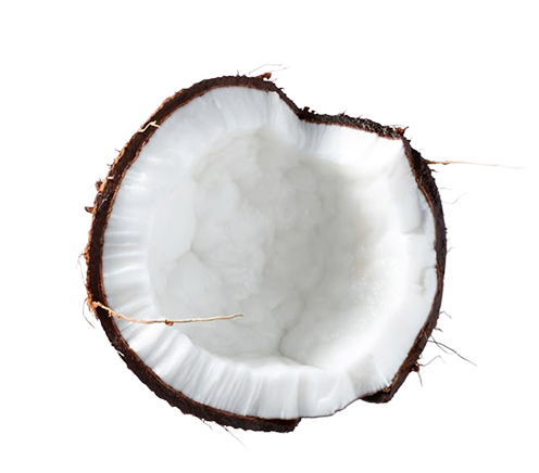 Coconut