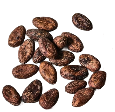 100% Dark Chocolate