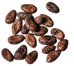 Dark Chocolate