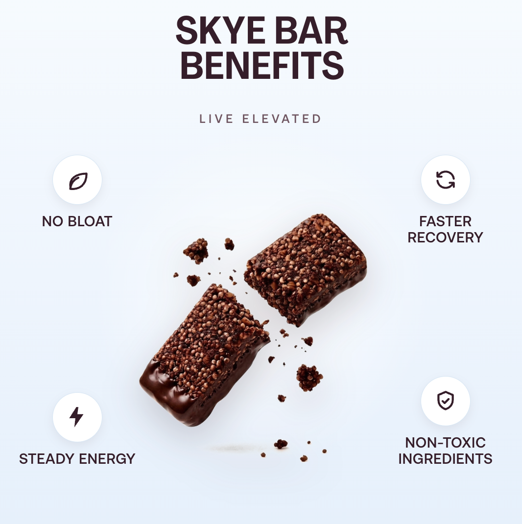 Dark Chocolate Clean Ingredient Bar